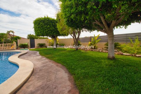 Landejendom i Elche, Alicante, Elche - € 799.000 | Ref: Elx MJ-D - foto 48