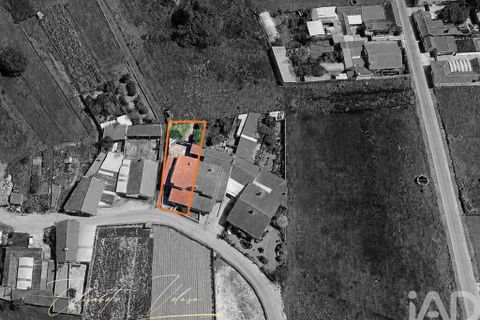 Rækkehus i Vagos, Aveiro, Vagos - € 375.000 | Ref: 973581 - foto 29