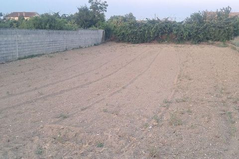 Helårsgrund i Vagos, Aveiro, Vagos - € 40.000 | Ref: 967582 - foto 2