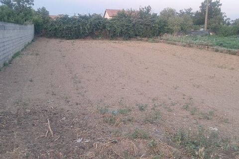 Helårsgrund i Vagos, Aveiro, Vagos - € 40.000 | Ref: 967582 - foto 3