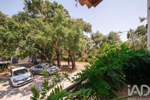 Stadthaus in Serta, Castelo Branco, Serta - € 320.000 | Ref: 951667 - Foto 25