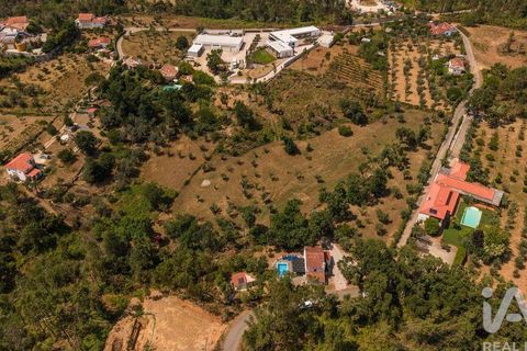 Stadthaus in Serta, Castelo Branco, Serta - € 320.000 | Ref: 951667 - Foto 39