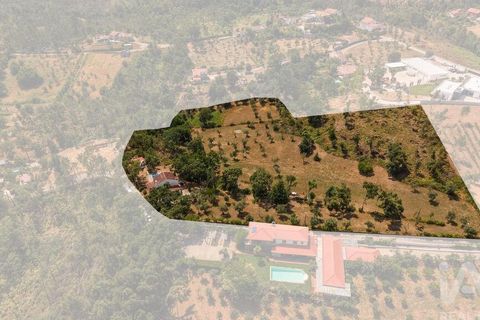 Stadthaus in Serta, Castelo Branco, Serta - € 320.000 | Ref: 951667 - Foto 40