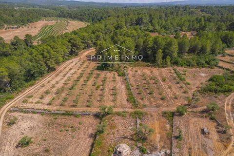 Villa a El Perello, Tarragona, El Perello - € 215.000 | Ref: 1176 - foto 38
