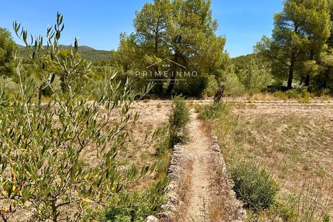 Villa a El Perello, Tarragona, El Perello - € 215.000 | Ref: 1176 - foto 49