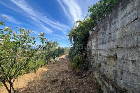 Helårsgrund i Seia, Guarda, Seia - € 22.500 | Ref: 382260071 - foto 3