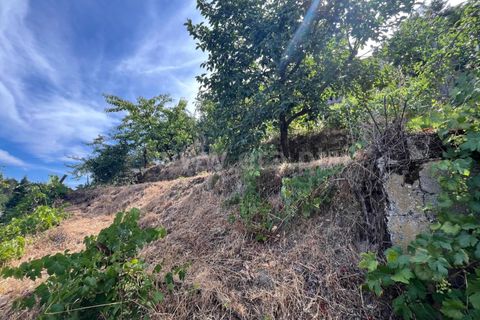 Helårsgrund i Seia, Guarda, Seia - € 22.500 | Ref: 382260071 - foto 5
