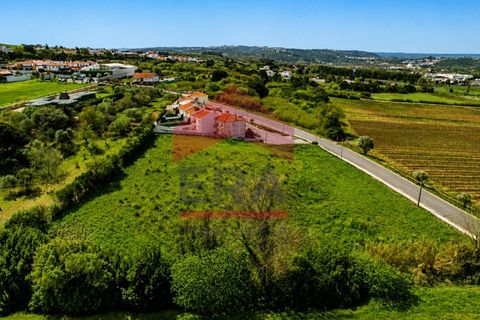 Helårsgrund i Gaeiras, Leiria, Gaeiras - € 155.000 | Ref: 150260054 - foto 3
