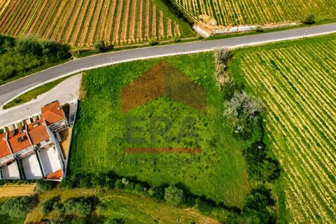 Helårsgrund i Gaeiras, Leiria, Gaeiras - € 155.000 | Ref: 150260054 - foto 5