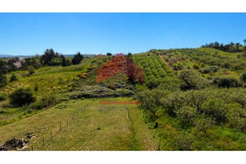 Helårsgrund i Obidos, Leiria, Obidos - € 90.000 | Ref: 150260079 - foto 1