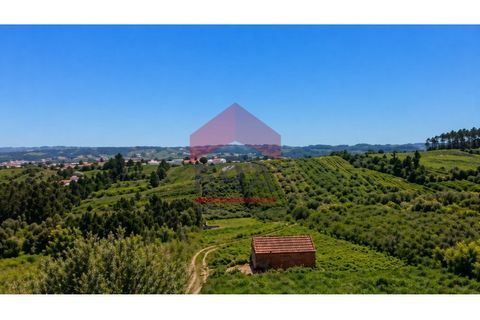 Helårsgrund i Obidos, Leiria, Obidos - € 90.000 | Ref: 150260079 - foto 5
