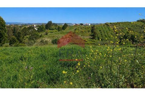 Helårsgrund i Obidos, Leiria, Obidos - € 90.000 | Ref: 150260079 - foto 6