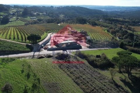 Villa i Caldas da Rainha, Leiria, Caldas da Rainha - € 500.000 | Ref: 150250387 - foto 6