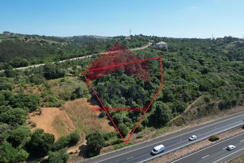 Helårsgrund i Obidos, Leiria, Obidos - € 30.000 | Ref: 150240205 - foto 2
