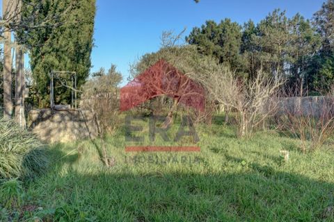 Villa i Caldas da Rainha, Leiria, Caldas da Rainha - € 297.500 | Ref: 150250021 - foto 8