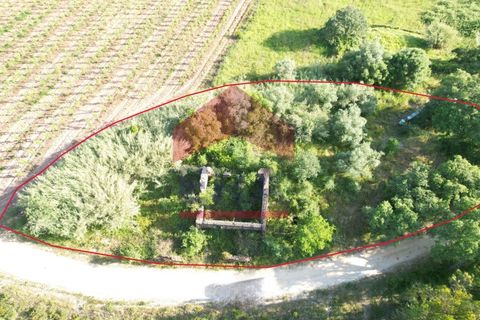 Villa em Vidais, Leiria, Vidais - € 45.000 | Ref: 150240159 - foto 1