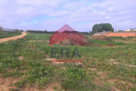 Terra em Ferrel, Leiria, Ferrel - € 120.000 | Ref: 150240239 - foto 1