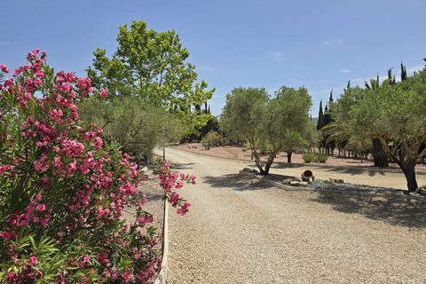 Villa i Salinas, Alicante, Salinas - € 595.000 | Ref: IVD13880 - foto 19