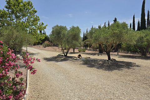 Villa i Salinas, Alicante, Salinas - € 595.000 | Ref: IVD13880 - foto 24