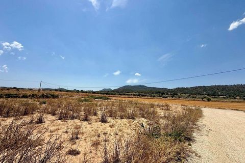 Helårsgrund i Salinas, Alicante, Salinas - € 49.500 | Ref: ELS9096 - foto 2