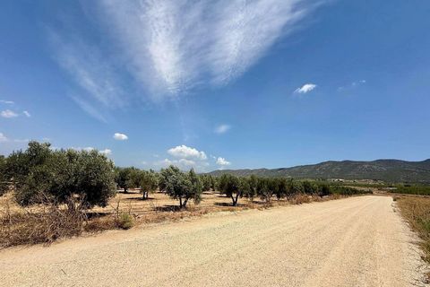 Helårsgrund i Salinas, Alicante, Salinas - € 49.500 | Ref: ELS9096 - foto 3