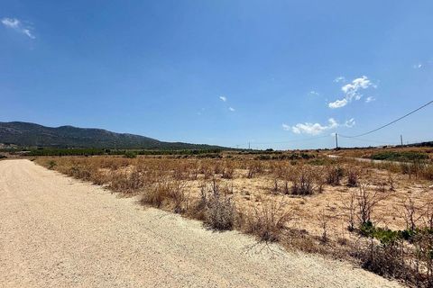 Helårsgrund i Salinas, Alicante, Salinas - € 49.500 | Ref: ELS9096 - foto 8