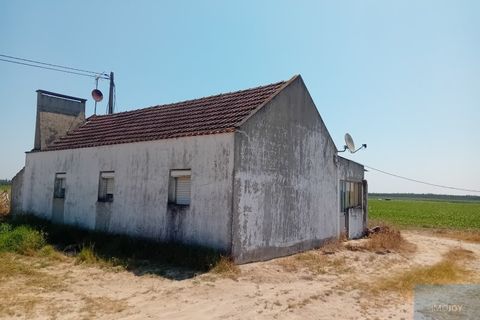 Helårsgrund i Montijo, Setubal, Montijo - € 2.000.000 | Ref: TERFIF002 - foto 3