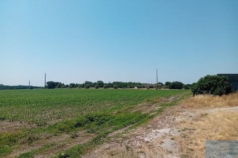 Helårsgrund i Montijo, Setubal, Montijo - € 2.000.000 | Ref: TERFIF002 - foto 4