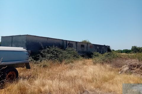 Helårsgrund i Montijo, Setubal, Montijo - € 2.000.000 | Ref: TERFIF002 - foto 5
