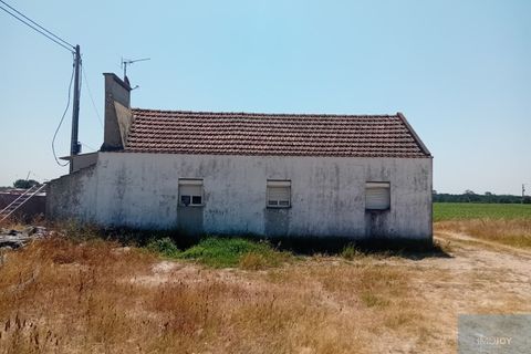 Helårsgrund i Montijo, Setubal, Montijo - € 2.000.000 | Ref: TERFIF002 - foto 8