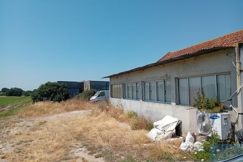Helårsgrund i Montijo, Setubal, Montijo - € 2.000.000 | Ref: TERFIF002 - foto 9