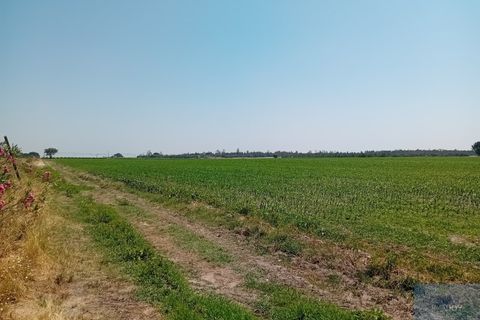 Helårsgrund i Montijo, Setubal, Montijo - € 2.000.000 | Ref: TERFIF002 - foto 11