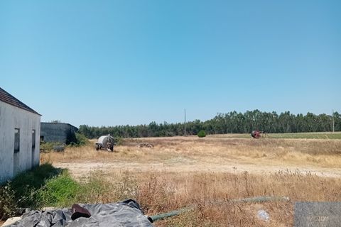 Helårsgrund i Montijo, Setubal, Montijo - € 2.000.000 | Ref: TERFIF002 - foto 20
