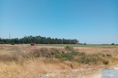 Helårsgrund i Montijo, Setubal, Montijo - € 2.000.000 | Ref: TERFIF002 - foto 21