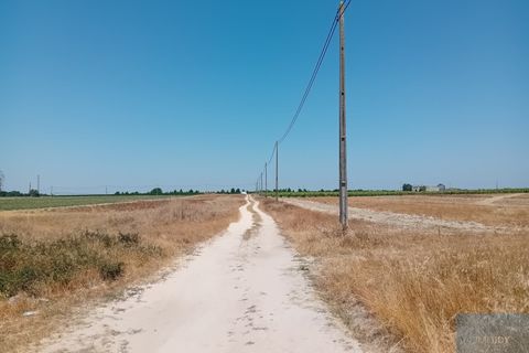 Helårsgrund i Montijo, Setubal, Montijo - € 2.000.000 | Ref: TERFIF002 - foto 22