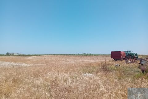 Helårsgrund i Montijo, Setubal, Montijo - € 2.000.000 | Ref: TERFIF002 - foto 23