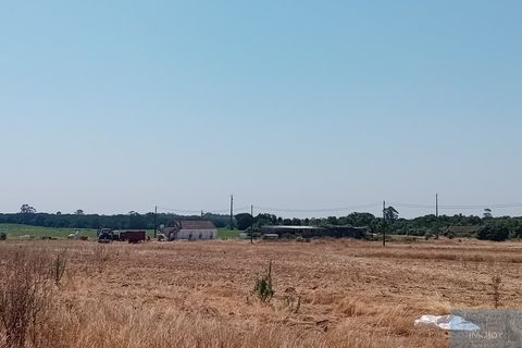 Helårsgrund i Montijo, Setubal, Montijo - € 2.000.000 | Ref: TERFIF002 - foto 24