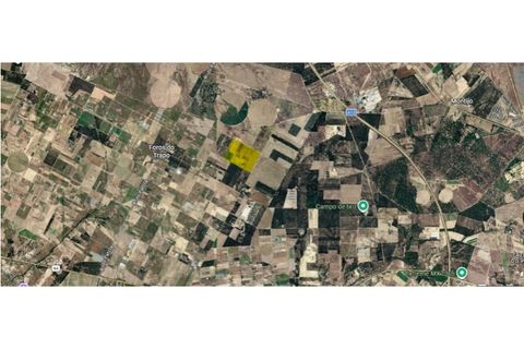 Helårsgrund i Montijo, Setubal, Montijo - € 2.000.000 | Ref: TERFIF002 - foto 32