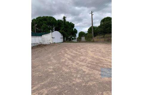Villa a Montargil, Portalegre, Montargil - € 690.000 | Ref: MORLP004 - foto 22