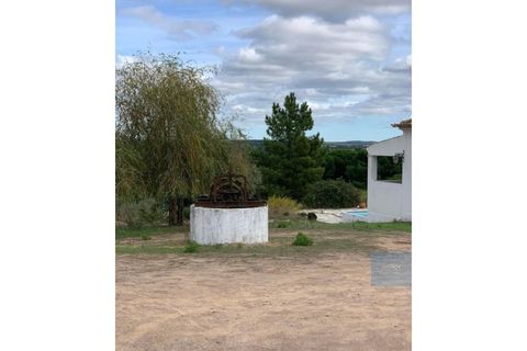 Villa a Montargil, Portalegre, Montargil - € 690.000 | Ref: MORLP004 - foto 23
