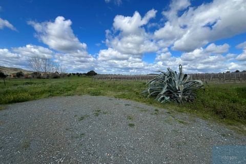 Granja a Avis, Portalegre, Avis - € 510.000 | Ref: QUIJPD001 - foto 38