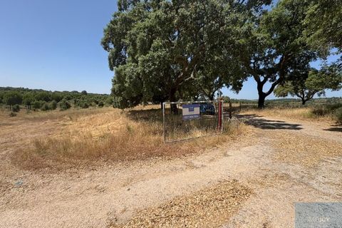 Terreno en Castelo Branco, Castelo Branco, Castelo Branco - € 750.000 | Ref: TERJL019 - photo 1
