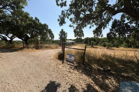 Terreno en Castelo Branco, Castelo Branco, Castelo Branco - € 750.000 | Ref: TERJL019 - photo 2