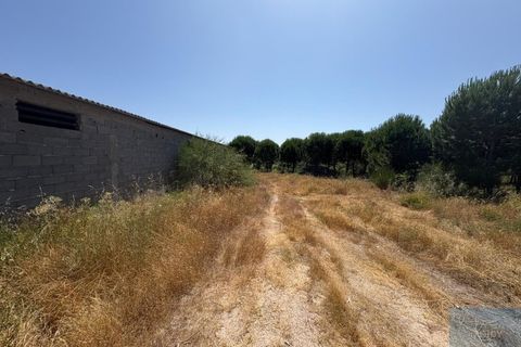 Terreno en Castelo Branco, Castelo Branco, Castelo Branco - € 750.000 | Ref: TERJL019 - photo 3