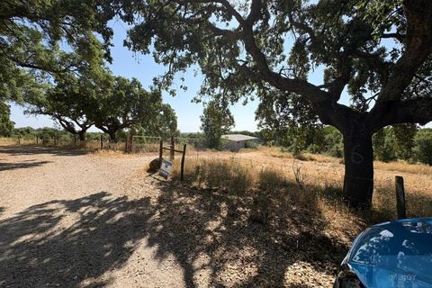 Terreno en Castelo Branco, Castelo Branco, Castelo Branco - € 750.000 | Ref: TERJL019 - photo 6