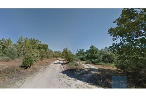 Terreno en Castelo Branco, Castelo Branco, Castelo Branco - € 750.000 | Ref: TERJL019 - photo 8