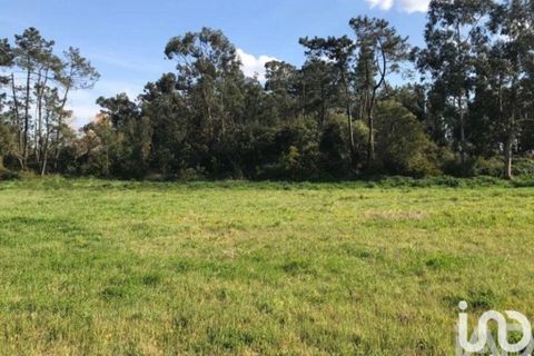 Helårsgrund i Vagos, Aveiro, Vagos - € 27.000 | Ref: 141157 - foto 3