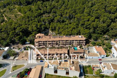 Duplex i Capdepera, Mallorca, Capdepera - € 680.000 | Ref: 5252 - foto 3