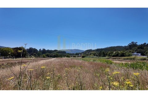 Tomt i Caminha, Viana do Castelo, Caminha - € 60 000 | Ref: B3197 - foto 2