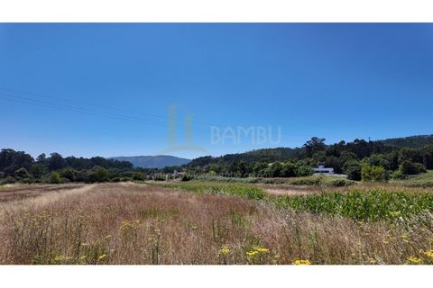 Tomt i Caminha, Viana do Castelo, Caminha - € 60 000 | Ref: B3197 - foto 4